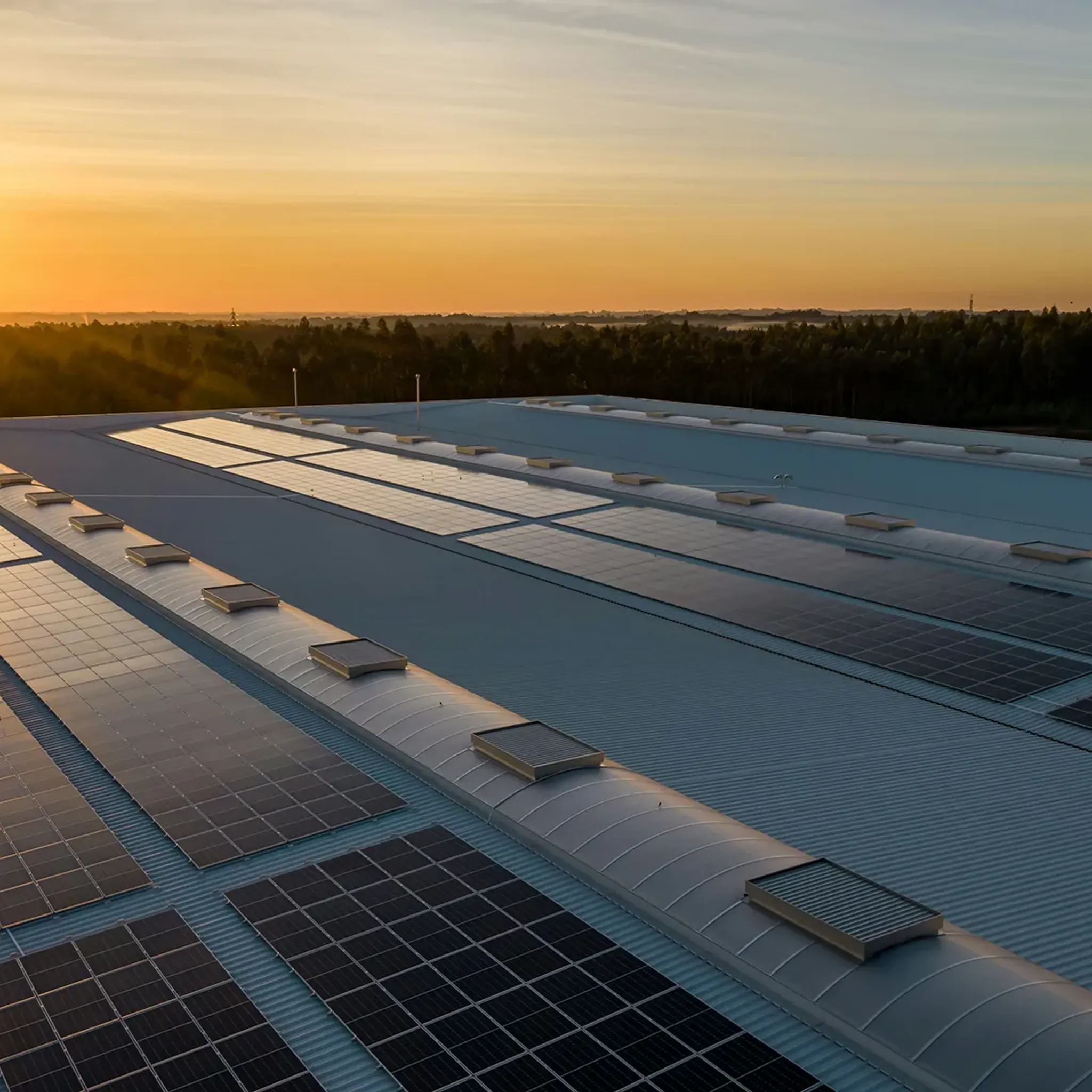 Sonnenuntergang über Photovoltaikanlage