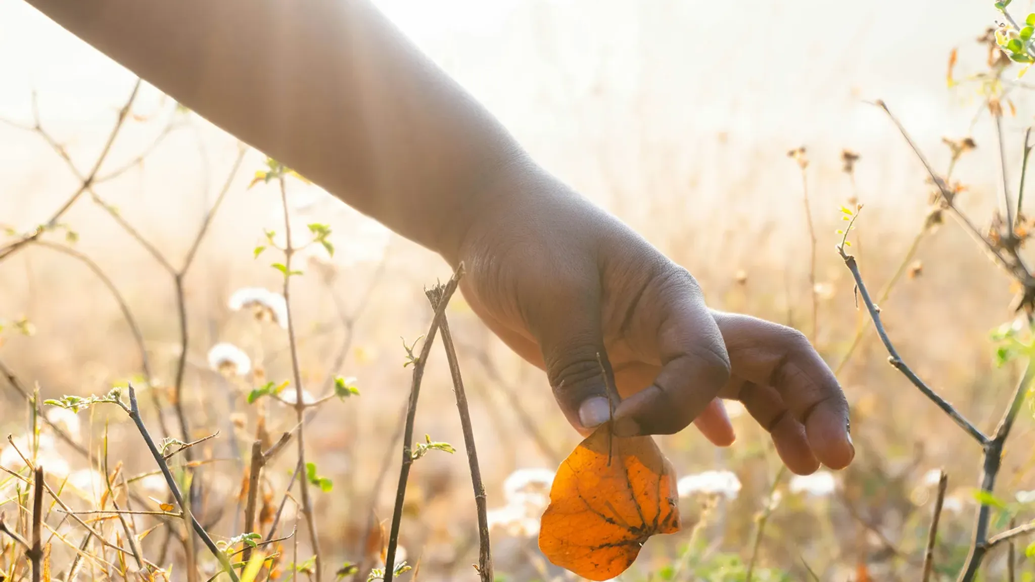 <h1>Cloud-Telefonanlage mit Nebenstellenkonzept für pädiatrische Einrichtung</h1>