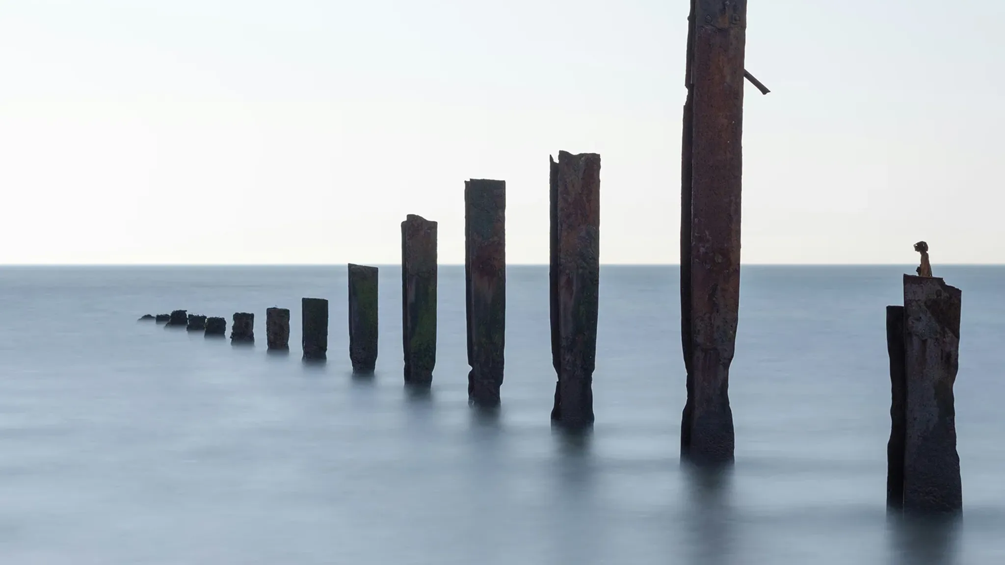 <h1>Automatisierte Anrufer-Befragung mit cloudbasiertem IVR-System</h1>