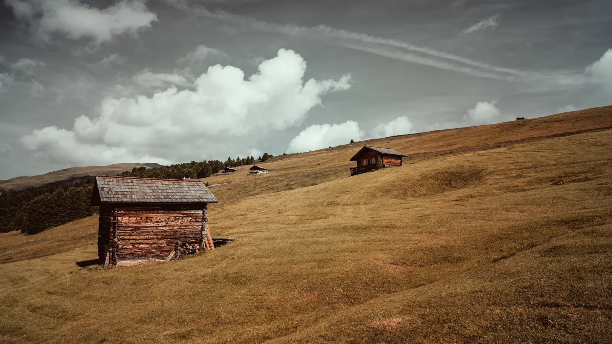 <h1>Internationales Servicerufnummern-Konzept f&uuml;r Privatsender</h1>